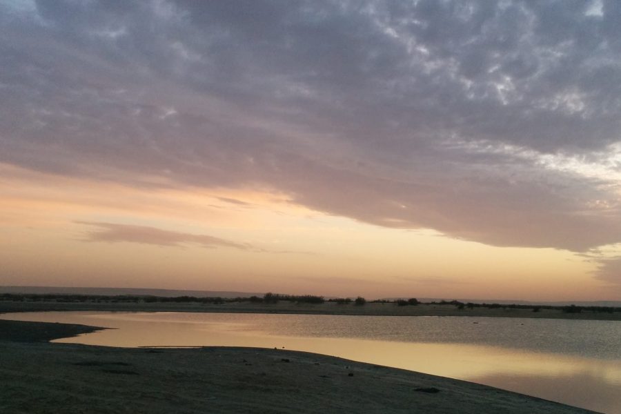 From Cairo: Wadi El Rayan Waterfalls, Desert Safari, & Lunch Tour